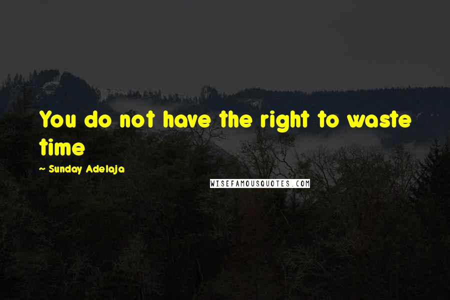 Sunday Adelaja Quotes: You do not have the right to waste time