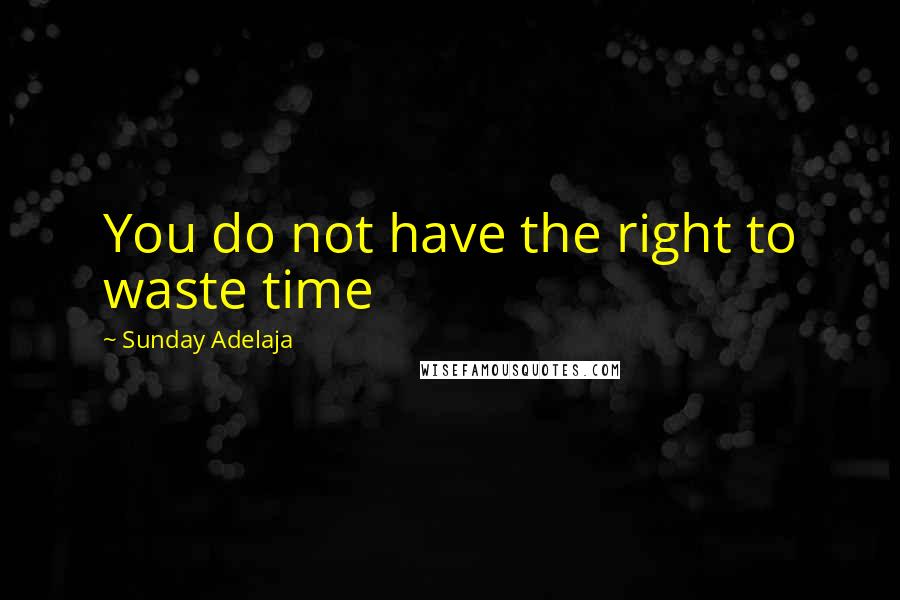 Sunday Adelaja Quotes: You do not have the right to waste time