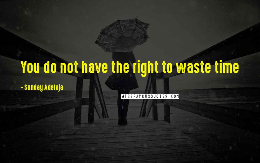 Sunday Adelaja Quotes: You do not have the right to waste time