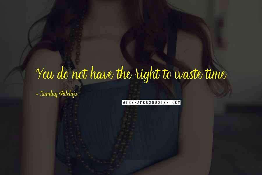 Sunday Adelaja Quotes: You do not have the right to waste time