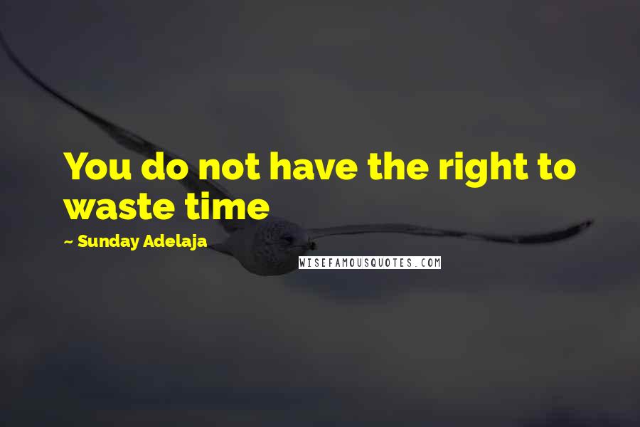 Sunday Adelaja Quotes: You do not have the right to waste time