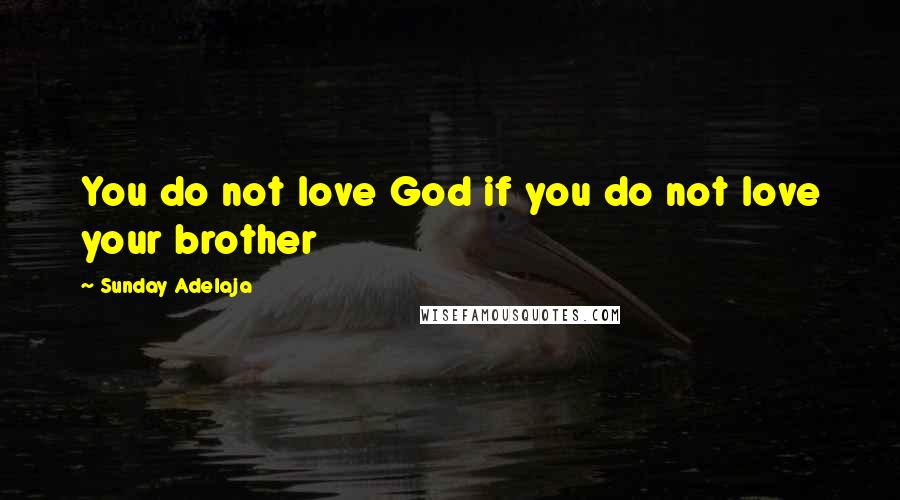 Sunday Adelaja Quotes: You do not love God if you do not love your brother