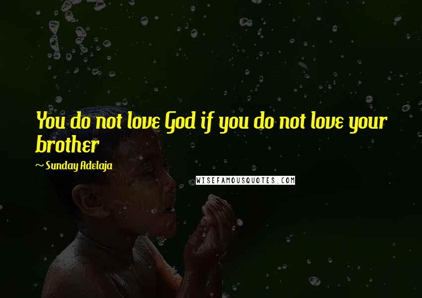 Sunday Adelaja Quotes: You do not love God if you do not love your brother