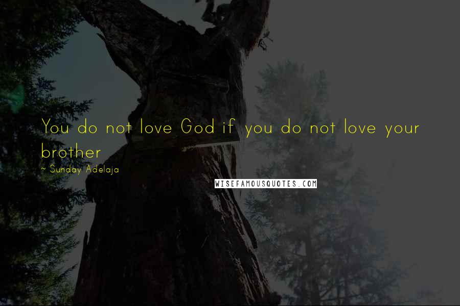 Sunday Adelaja Quotes: You do not love God if you do not love your brother