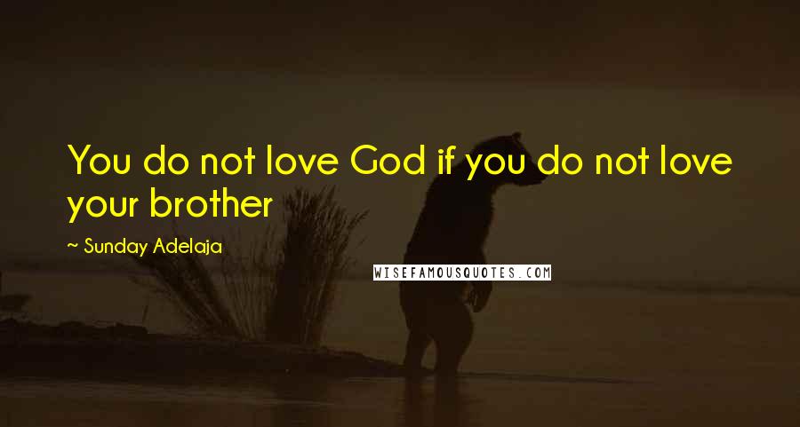 Sunday Adelaja Quotes: You do not love God if you do not love your brother