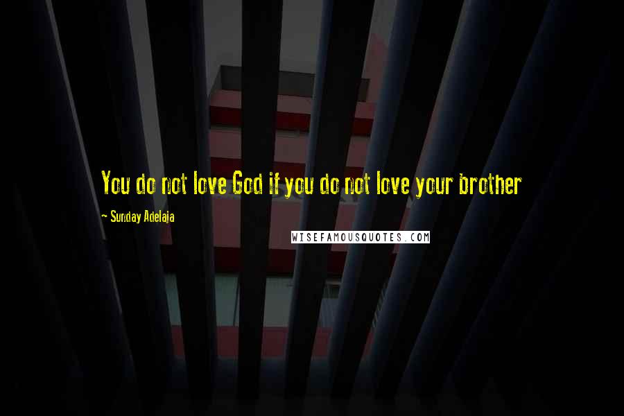 Sunday Adelaja Quotes: You do not love God if you do not love your brother