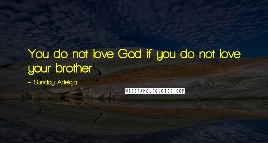 Sunday Adelaja Quotes: You do not love God if you do not love your brother