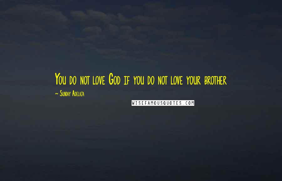 Sunday Adelaja Quotes: You do not love God if you do not love your brother