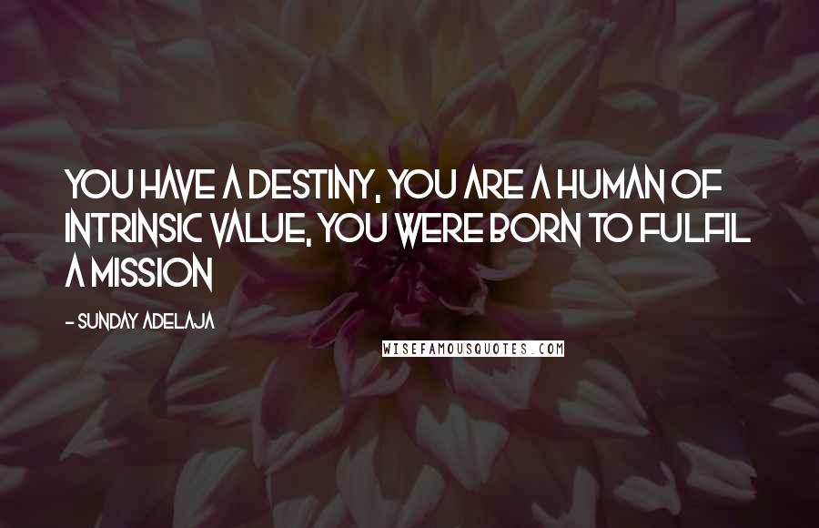 Sunday Adelaja Quotes: You have a destiny, you are a human of intrinsic value, you were born to fulfil a mission