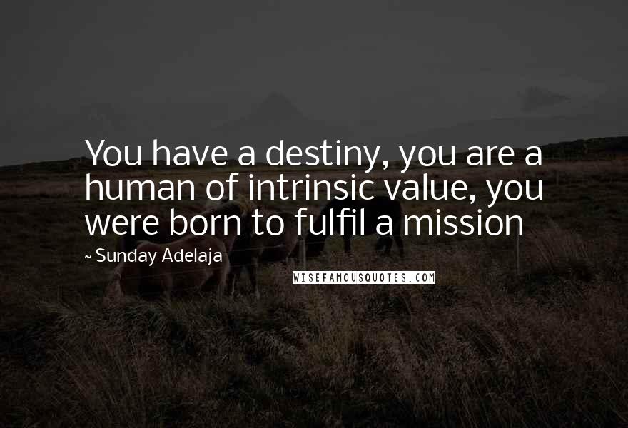 Sunday Adelaja Quotes: You have a destiny, you are a human of intrinsic value, you were born to fulfil a mission