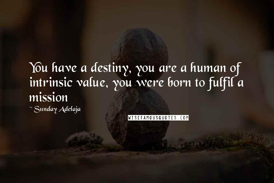 Sunday Adelaja Quotes: You have a destiny, you are a human of intrinsic value, you were born to fulfil a mission