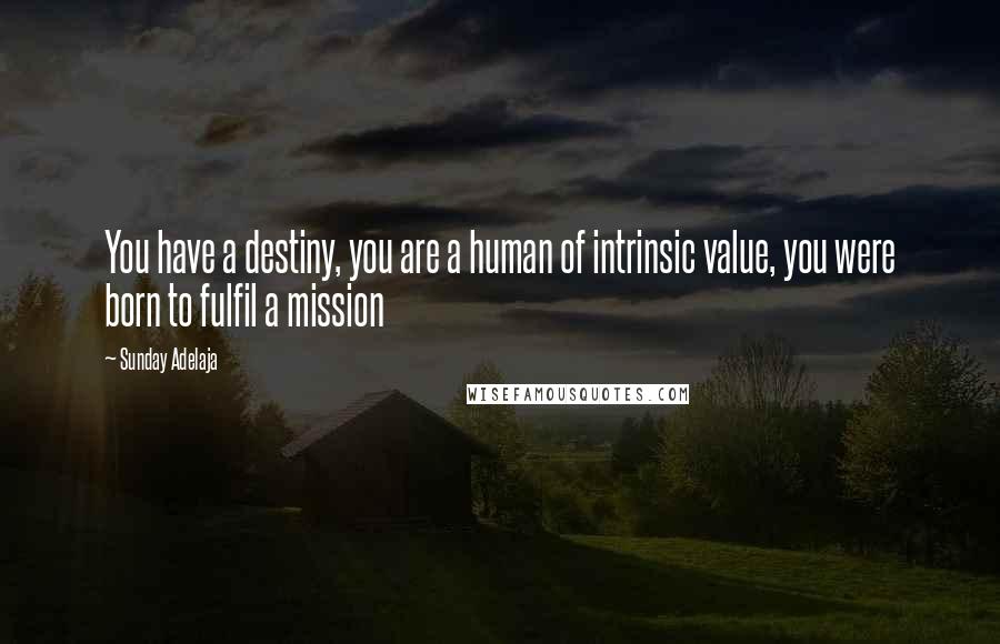 Sunday Adelaja Quotes: You have a destiny, you are a human of intrinsic value, you were born to fulfil a mission