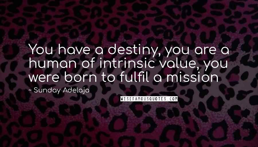 Sunday Adelaja Quotes: You have a destiny, you are a human of intrinsic value, you were born to fulfil a mission