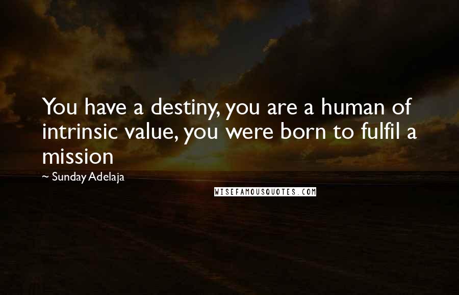 Sunday Adelaja Quotes: You have a destiny, you are a human of intrinsic value, you were born to fulfil a mission