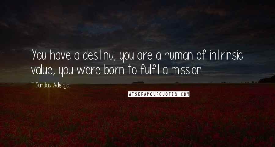 Sunday Adelaja Quotes: You have a destiny, you are a human of intrinsic value, you were born to fulfil a mission