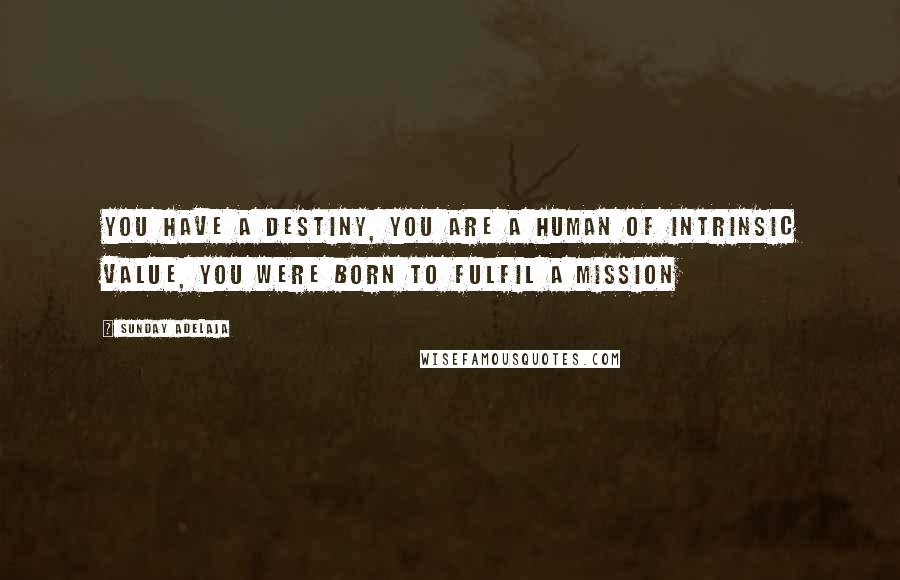 Sunday Adelaja Quotes: You have a destiny, you are a human of intrinsic value, you were born to fulfil a mission