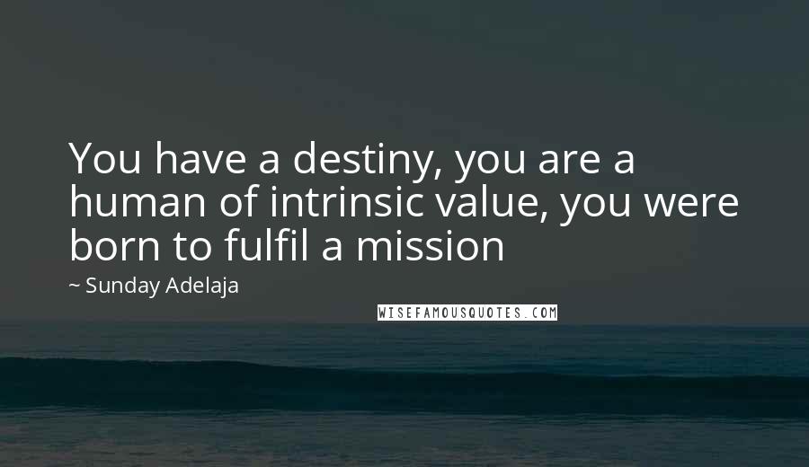 Sunday Adelaja Quotes: You have a destiny, you are a human of intrinsic value, you were born to fulfil a mission