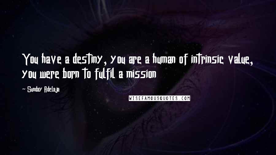 Sunday Adelaja Quotes: You have a destiny, you are a human of intrinsic value, you were born to fulfil a mission