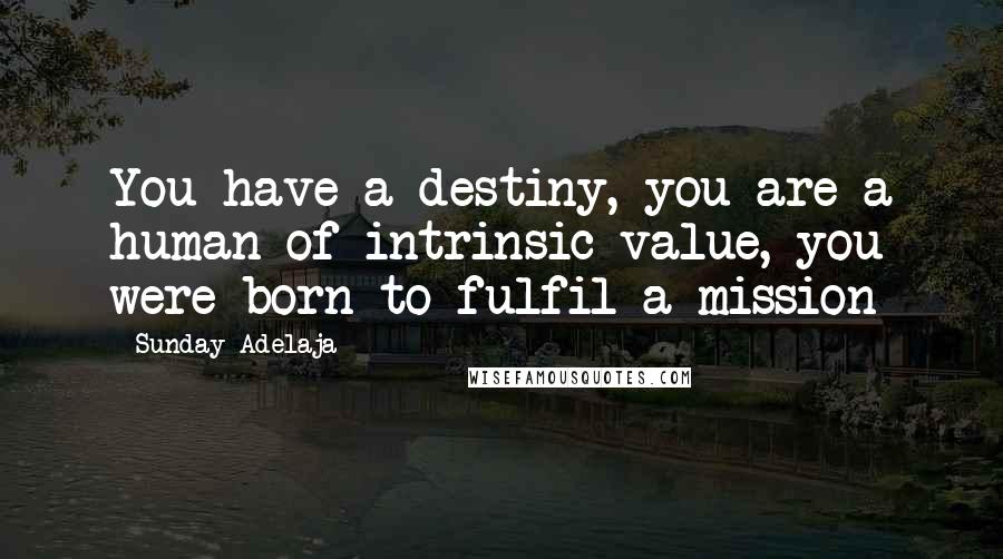 Sunday Adelaja Quotes: You have a destiny, you are a human of intrinsic value, you were born to fulfil a mission