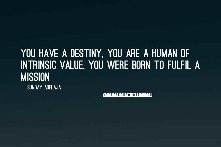 Sunday Adelaja Quotes: You have a destiny, you are a human of intrinsic value, you were born to fulfil a mission