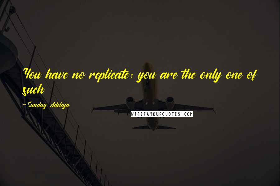 Sunday Adelaja Quotes: You have no replicate; you are the only one of such