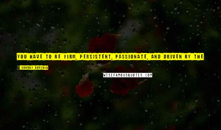 Sunday Adelaja Quotes: You have to be firm, persistent, passionate, and driven by the idea and have a strong desire to bring your product to the market