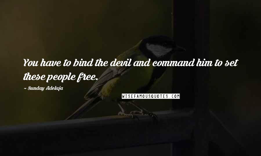 Sunday Adelaja Quotes: You have to bind the devil and command him to set these people free.