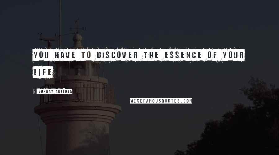 Sunday Adelaja Quotes: You have to discover the essence of your life