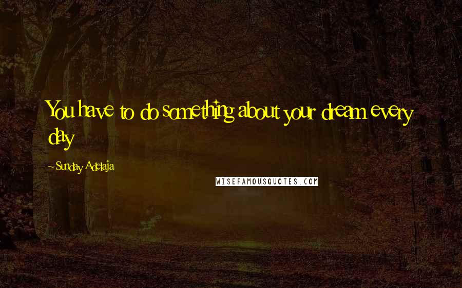 Sunday Adelaja Quotes: You have to do something about your dream every day
