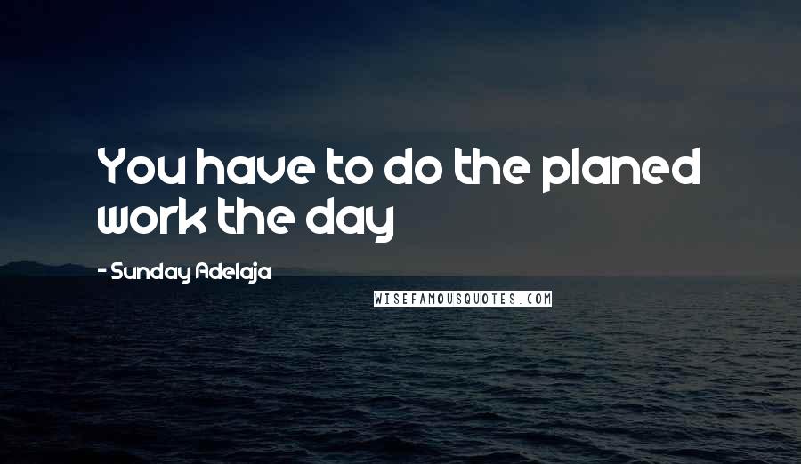 Sunday Adelaja Quotes: You have to do the planed work the day