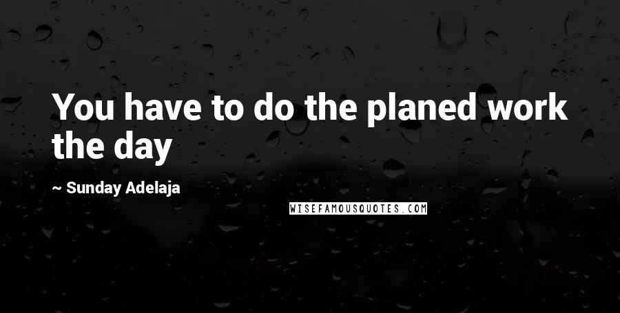 Sunday Adelaja Quotes: You have to do the planed work the day