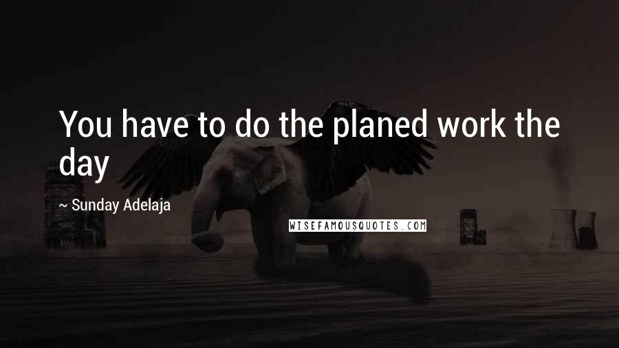 Sunday Adelaja Quotes: You have to do the planed work the day