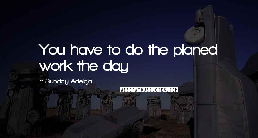 Sunday Adelaja Quotes: You have to do the planed work the day