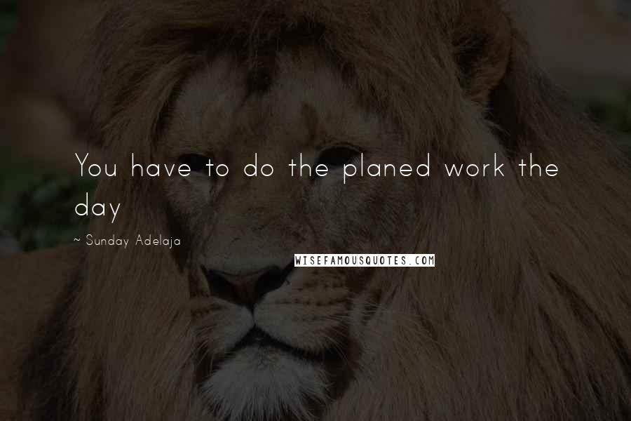 Sunday Adelaja Quotes: You have to do the planed work the day