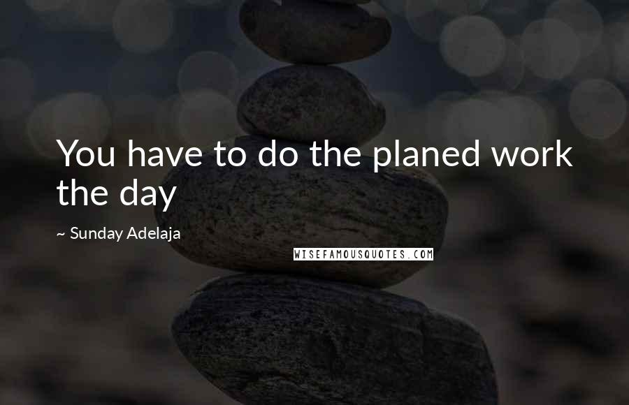 Sunday Adelaja Quotes: You have to do the planed work the day