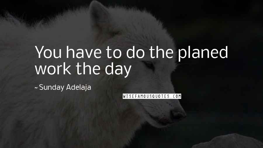 Sunday Adelaja Quotes: You have to do the planed work the day