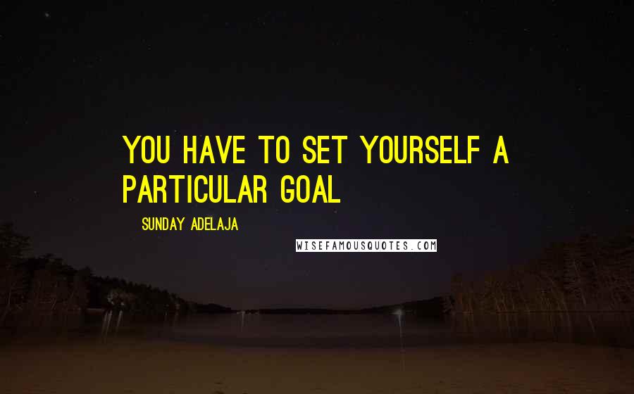 Sunday Adelaja Quotes: You have to set yourself a particular goal