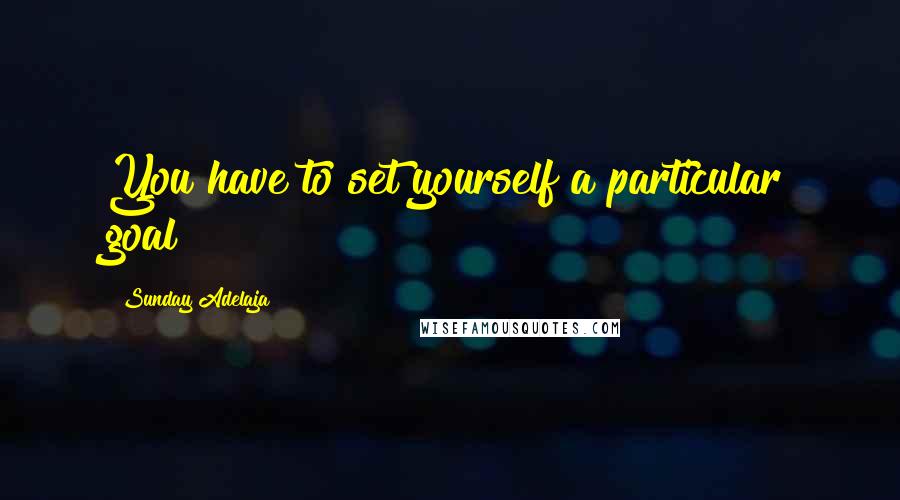 Sunday Adelaja Quotes: You have to set yourself a particular goal