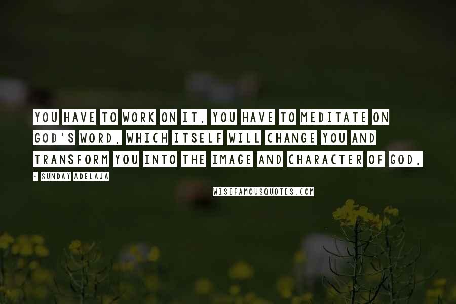 Sunday Adelaja Quotes: You have to work on it. You have to meditate on God's Word, which itself will change you and transform you into the image and character of God.