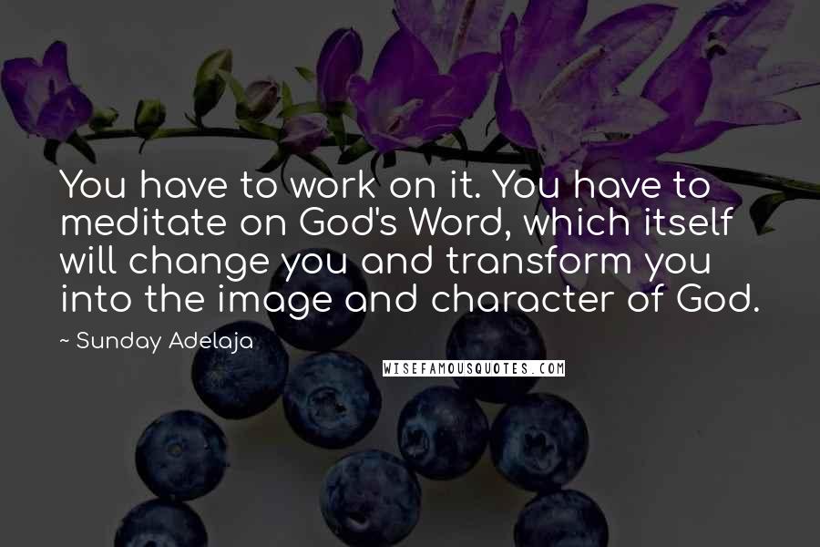 Sunday Adelaja Quotes: You have to work on it. You have to meditate on God's Word, which itself will change you and transform you into the image and character of God.