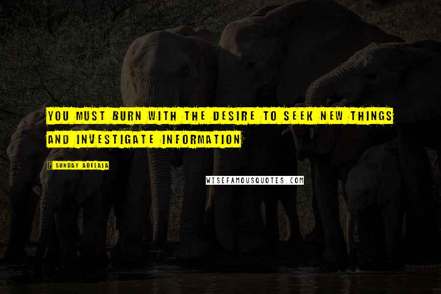 Sunday Adelaja Quotes: You must burn with the desire to seek new things and investigate information