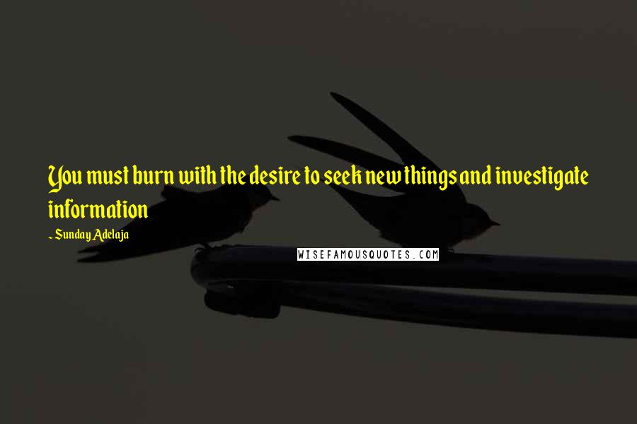 Sunday Adelaja Quotes: You must burn with the desire to seek new things and investigate information