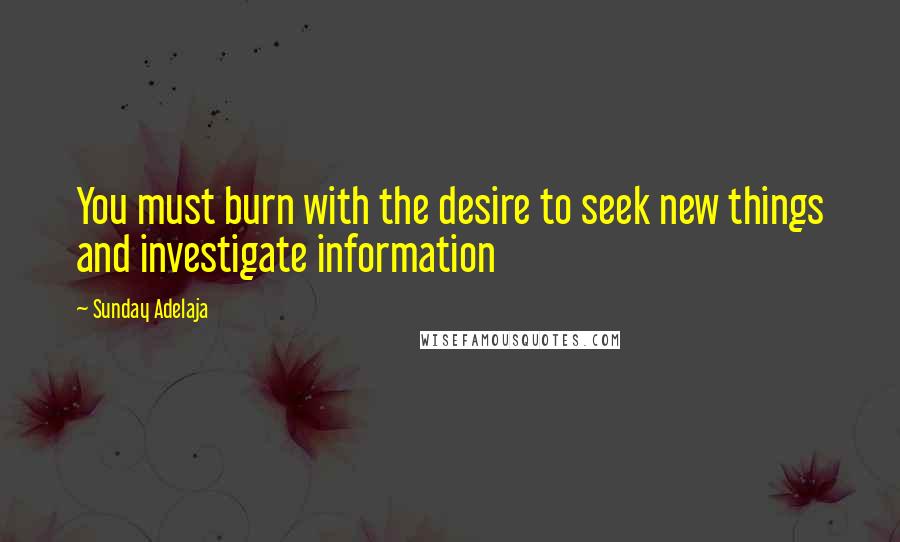 Sunday Adelaja Quotes: You must burn with the desire to seek new things and investigate information