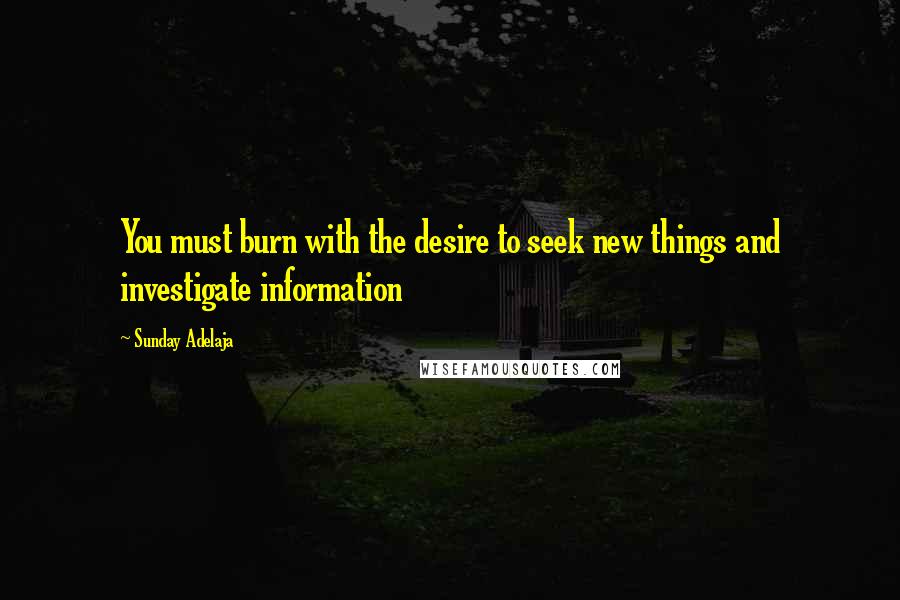 Sunday Adelaja Quotes: You must burn with the desire to seek new things and investigate information