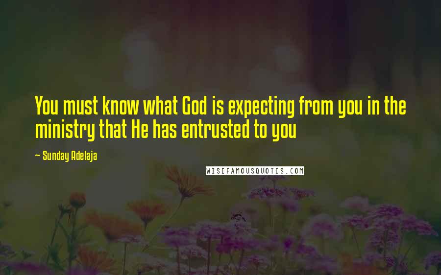 Sunday Adelaja Quotes: You must know what God is expecting from you in the ministry that He has entrusted to you
