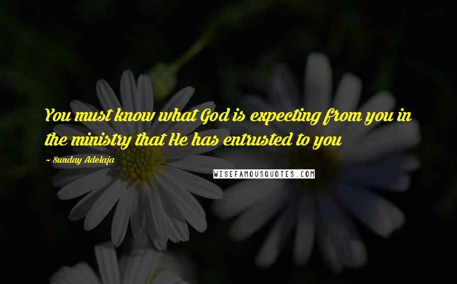 Sunday Adelaja Quotes: You must know what God is expecting from you in the ministry that He has entrusted to you