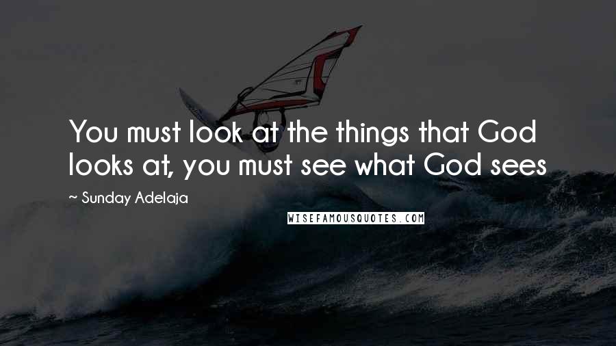 Sunday Adelaja Quotes: You must look at the things that God looks at, you must see what God sees