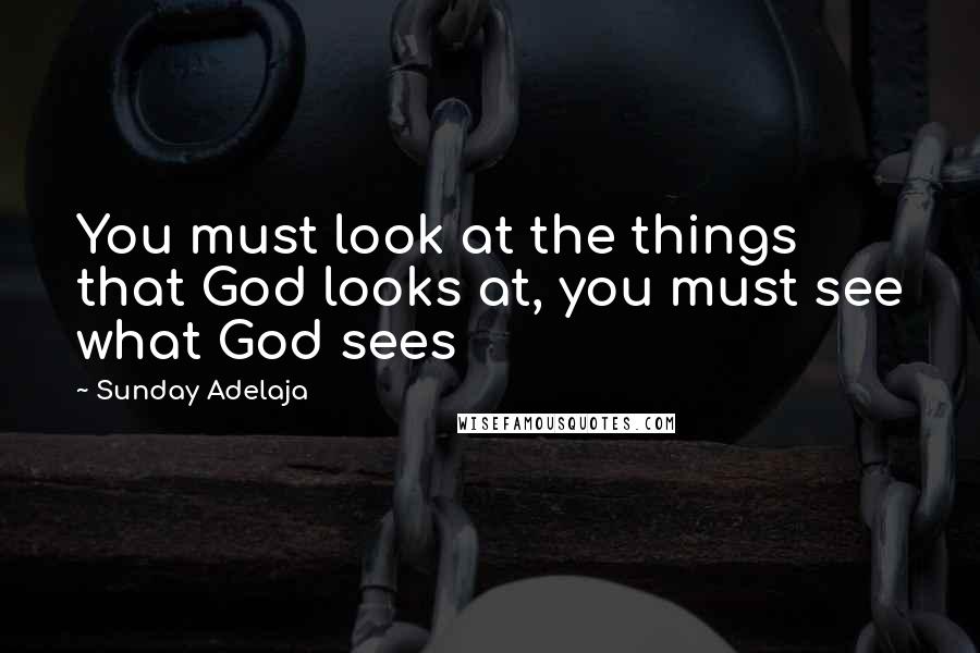 Sunday Adelaja Quotes: You must look at the things that God looks at, you must see what God sees