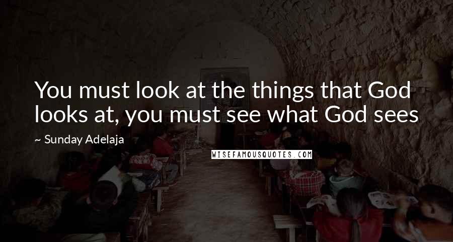 Sunday Adelaja Quotes: You must look at the things that God looks at, you must see what God sees