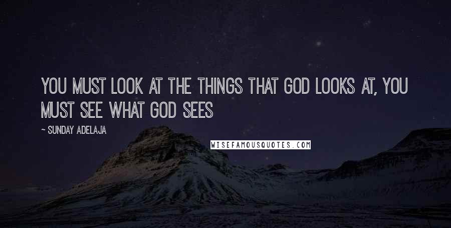 Sunday Adelaja Quotes: You must look at the things that God looks at, you must see what God sees